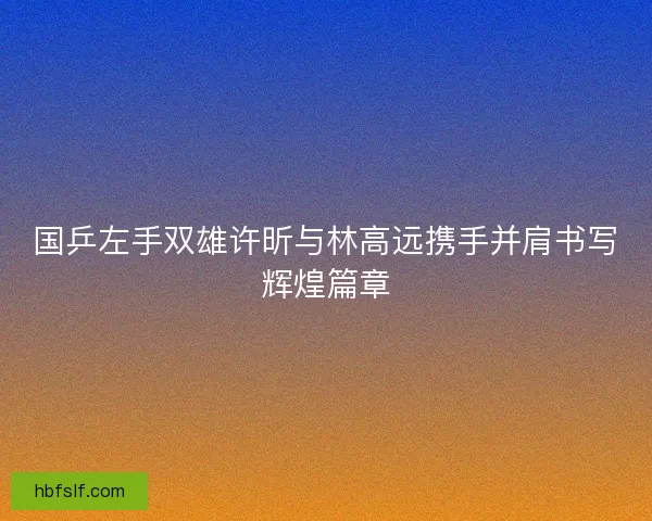 国乒左手双雄许昕与林高远携手并肩书写辉煌篇章