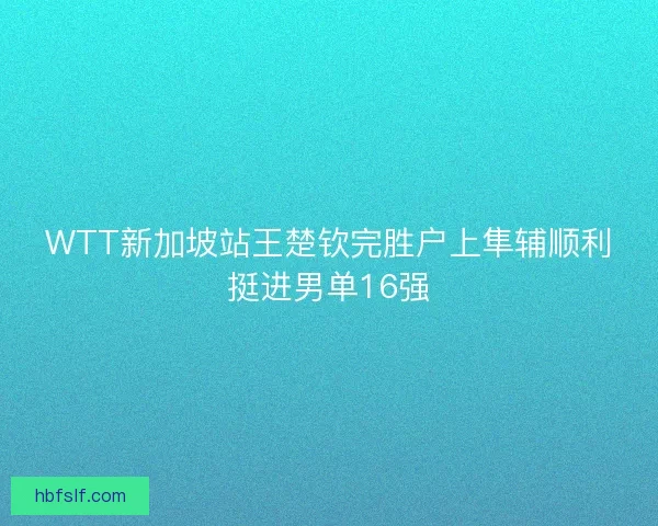 WTT新加坡站王楚钦完胜户上隼辅顺利挺进男单16强
